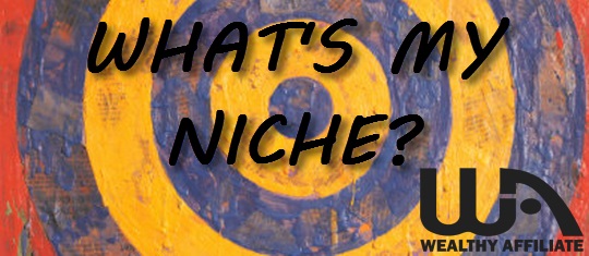 how-to-choose-a-niche-online